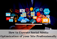 How to Execute Social Media Optimization of your Site Professionally
