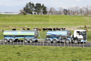 Fonterra CEO says supply contracts intact after food safety scare