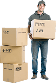 Delivering high-paid jobs in logistics company - AWL India