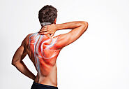 DOES POST-EXERCISE MUSCLE SORENESS MEAN MUSCLE GROWTH? on Behance