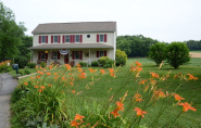 Red Cardinal Bed and Breakfast :: Blog