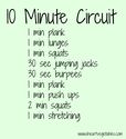10 Minute Circuit