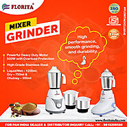 Mixer Grinder Manufacturer In Uttarakhand- Florita