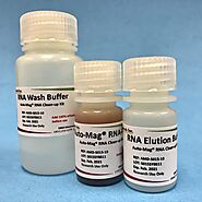 Get Auto-Mag RNA Clean-up Kit From Our Online Store