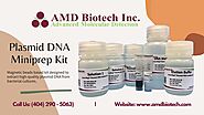 Buy Plasmid DNA Miniprep Kit | AMD Biotech Inc