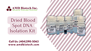 Buy Dried Blood Spot DNA Isolation Kit