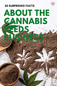 20 Surprising Facts About the Cannabis Seeds Business - Vancoast Seeds - Wholesale Marijuana Seeds Store