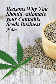 Reasons Why You Should Automate your Cannabis Seeds Business Now