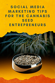 Social Media Marketing Tips for the Cannabis Seed Entrepreneurs - Vancoast Seeds - Wholesale Marijuana Seeds Store