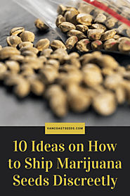 10 Ideas on How to Ship Marijuana Seeds Discreetly - Vancoast Seeds - Wholesale Marijuana Seeds Store