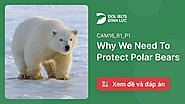 Đáp Án Và Giải Thích Why We Need To Protect Polar Bears | IELTS Reading Practice @ dol.vn - Học Tiếng Anh Tư Duy - Nộ...