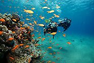 Why Andaman is amazing tourist destination like no other in India---Scuba Diving