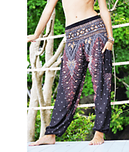 Buy Peacock Feather Print On Palazzo Pants