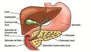 Biliary Dyskinesia - Homeopathic treatment by Dr. Tsan in Philadelphia