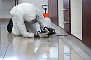 Pest Control in Malad with 100% Hygienic