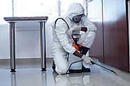Pest Control in CST with 100% Secure | EcoFriendlyPests