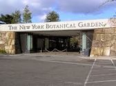 Botanical Gardens in New York