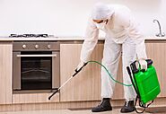 Pest Control Services in Vasai offers 100% Hygienic