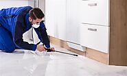 Pest Control Services in Mira Road offers 100% Safe