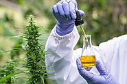 America First CBD Oil reviews - (Best cbd oil Store) Ingredients - Benefits , Complaints and Side Effects? Latest Update