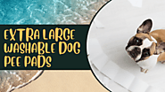 Best Extra Large Washable Dog Pee Pads | XL Washable Dog Pee Pads 2021