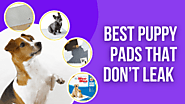 Best Puppy Pads That Don't Leak | Best Leak Proof Puppy Pads
