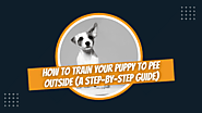 How To Train Your Puppy To Pee Outside (A Step-by-Step Guide)