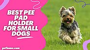 Best Pee Pad Holder For Small Dogs
