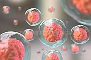 Tế bào gốc là gì? Vai trò của tế bào gốc trong chữa bệnh