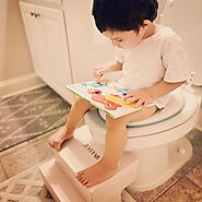 10 Best Potty Training Toilets and Seats For Baby - Babylieve.