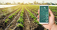 THE PROSPECT OF DIGITAL TECHNOLOGIES IN THE AGRICULTURE MARKET