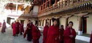 Travel to Nepal, Bhutan, India, Tibet - Far & High Adventure
