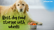 Best Dog Food Storage With Wheels Of 2021