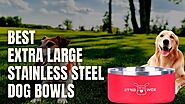 Best Extra Large stainless steel dog bowls in 2021
