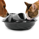 10 Best Water Fountains For Cats and Dogs - Reviews