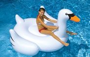 International Leisure Giant Swan