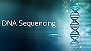 Benefits of Having Your Genome Sequenced | DNA Test - US DNA Test