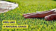 Synthetic Grass Around the Pool: Is It a Good Idea?