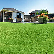 5 Reasons to Install Artificial Grass In Your Yard This Year