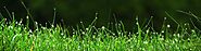 Artificial Grass Melbourne, Fake Grass & Synthetic Turf Melbourne