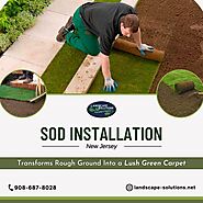 Sod Installation NJ