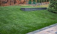 September is Lawn Renovation Time in NJ