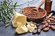 Eleven Benefits of Cocoa powder that you don’t know about