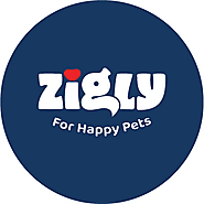 Online Vet Consultation In India | Zigly for Happy Pets