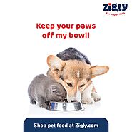 Buy Dog Food Online