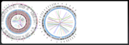 CIRCOS Circular Genome Data Visualization