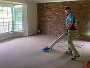 How to Keep Your Carpet Stain-Free? - De Vere Carpet and leather restorations