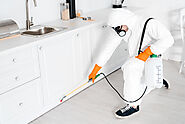 Pest Control Services in Borivali offers 100% safe by ElixPest