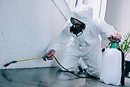Pest Control Services in Jogeshwari offers 100% safe by ElixPest