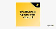 Small Business Opportunities – Start a S
